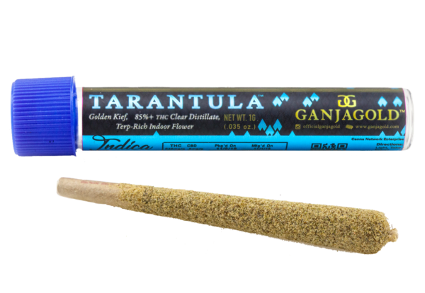 Ganja Gold/Blue Tarantula