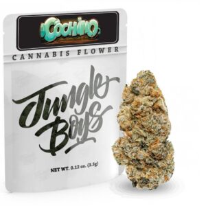 Buy Jungle Boys Cali Packs in the UK